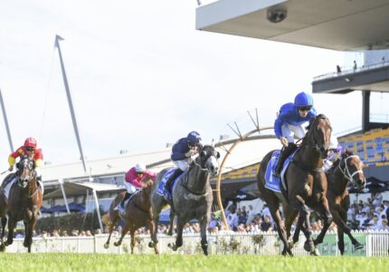 2025 Hobartville Stakes winner Broadsiding