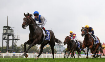Missile Stakes 2026 Field Preview, Tips & Best Bets