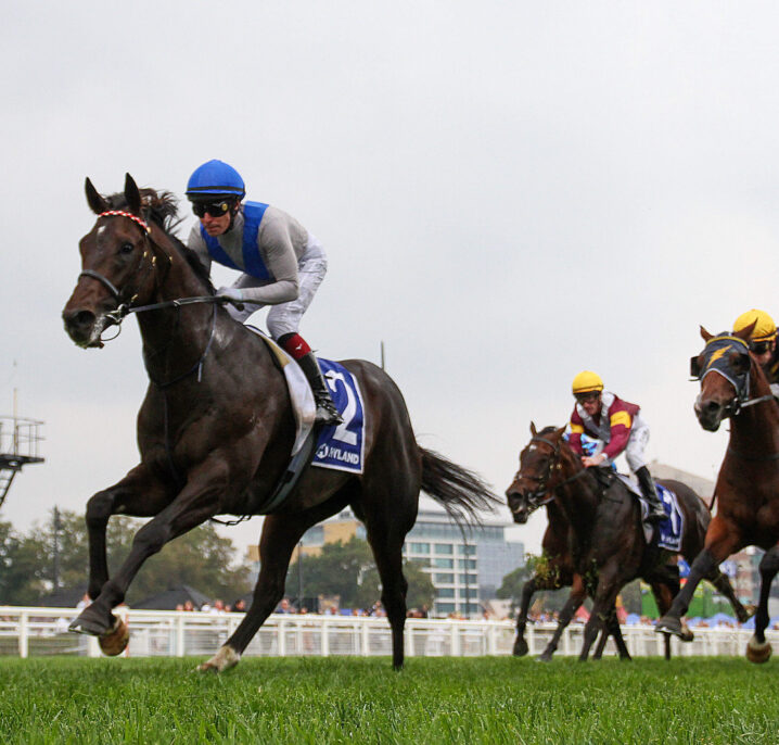 Missile Stakes 2026 Field Preview, Tips & Best Bets