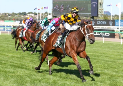 2025 Newmarket Handicap winner Joliestar