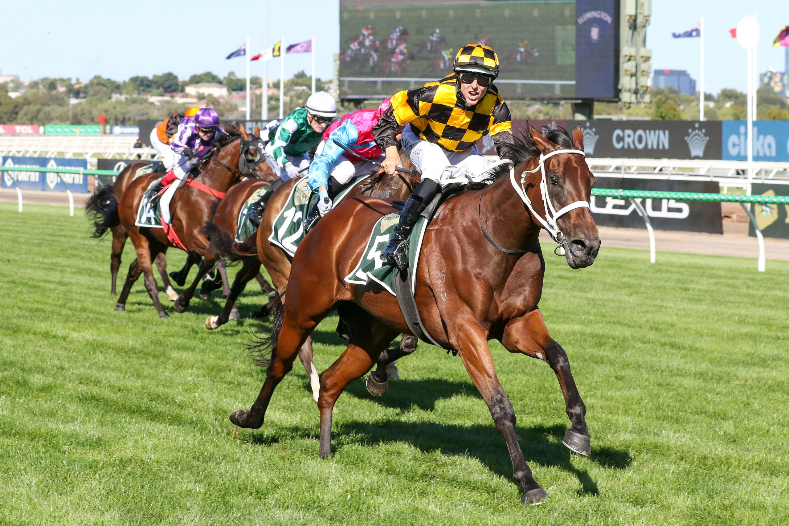 2025 Newmarket Handicap winner Joliestar