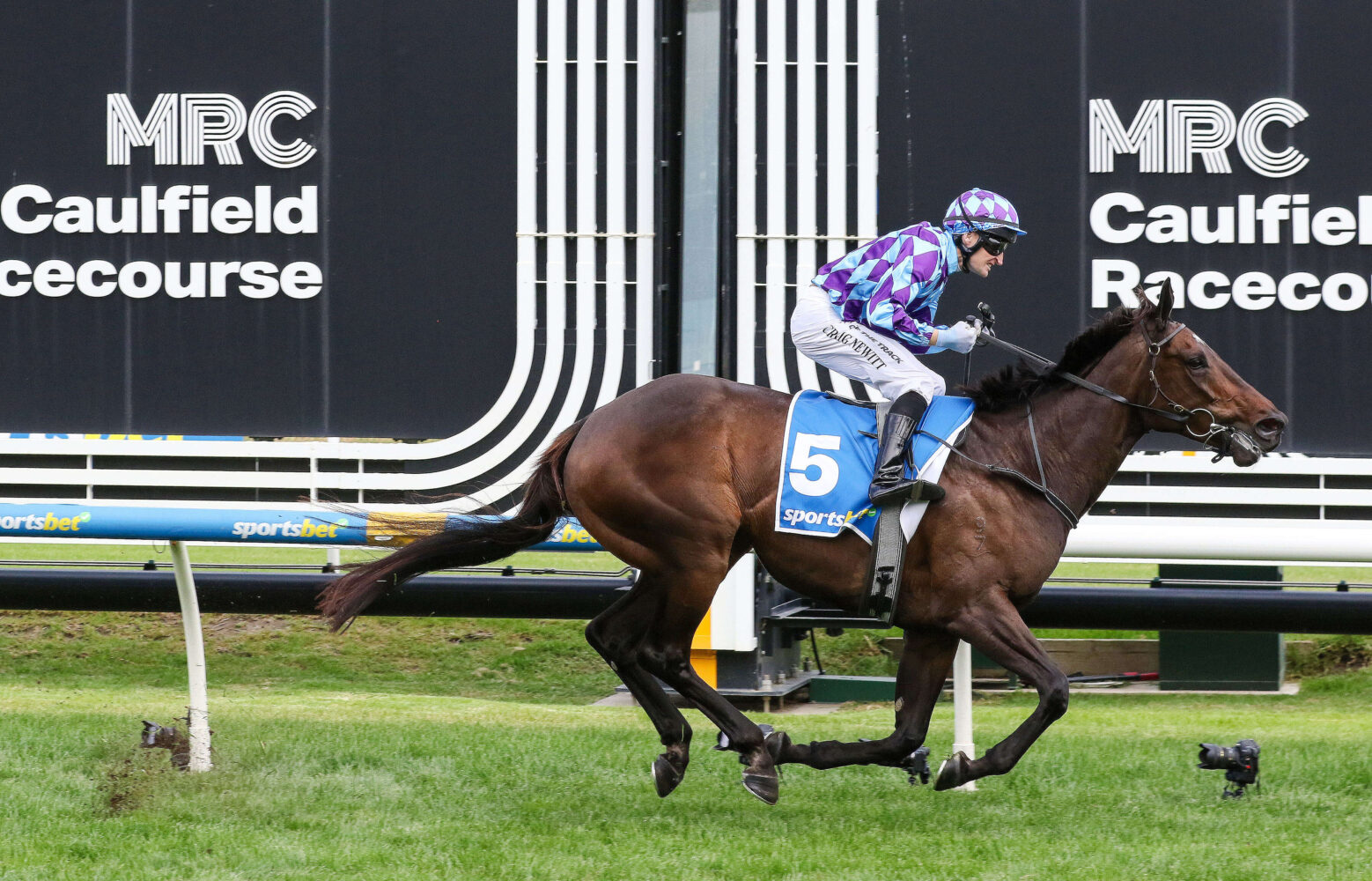 2025 Peter Young Stakes winner Pride Of Jenni