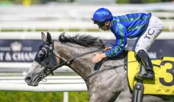 Alalcance Heads Sydney Cup 2025 Field & Odds