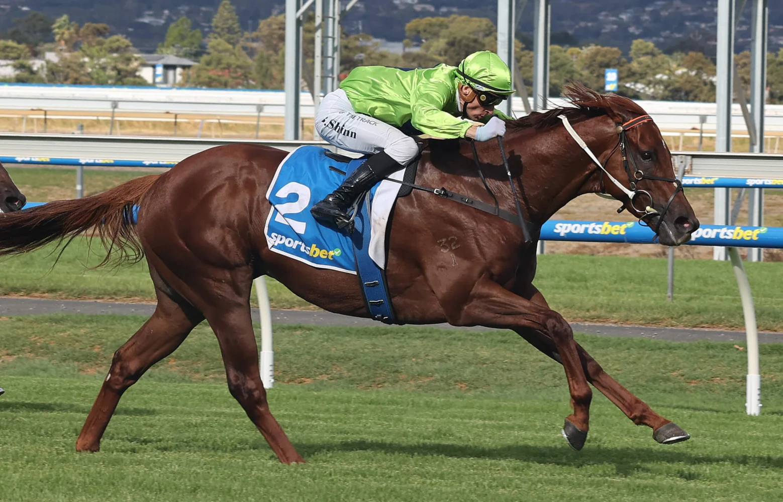 2025 The Goodwood winner Reserve Bank (pictured winning the Tobin Bronze)