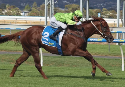 2025 The Goodwood winner Reserve Bank (pictured winning the Tobin Bronze)