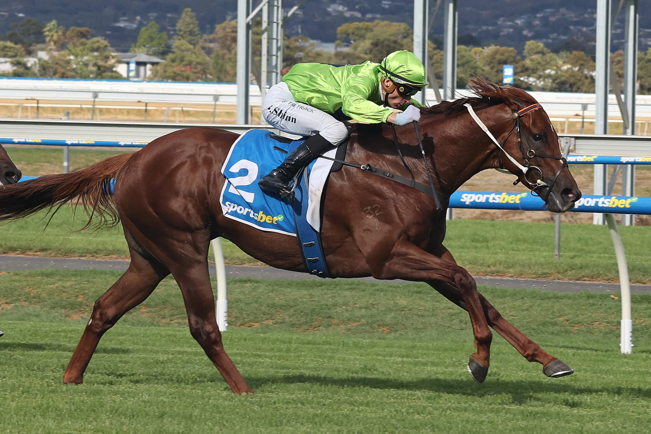 2025 The Goodwood winner Reserve Bank (pictured winning the Tobin Bronze)