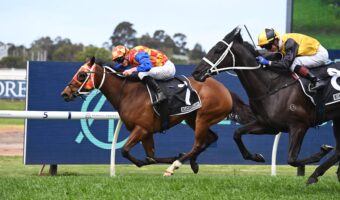 2025 Tattersall's Tiara Field & Betting Update