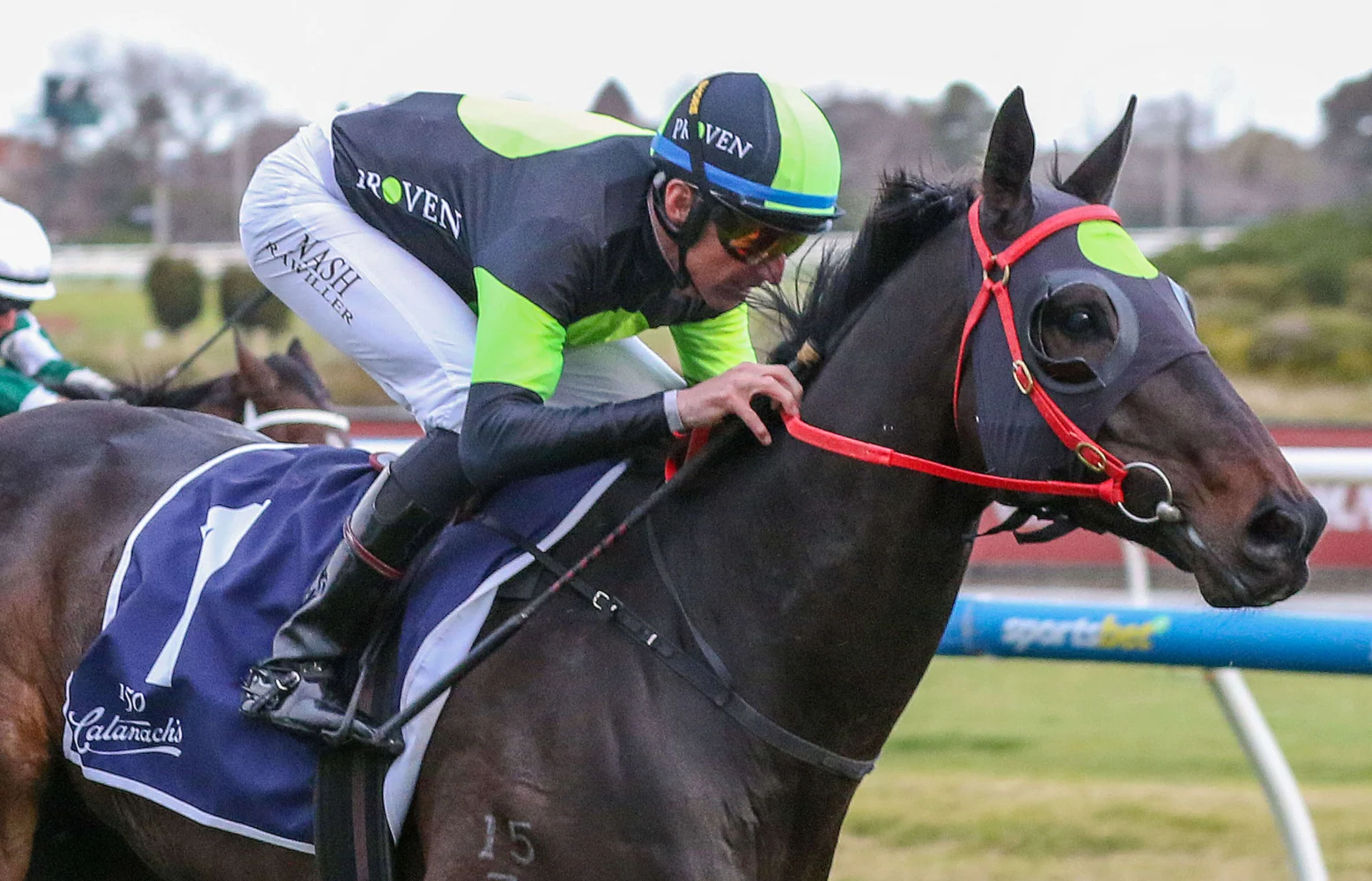 2025 PB Lawrence Stakes winner Private Eye