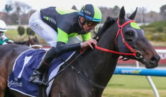 PB Lawrence Stakes 2026 Field Preview, Tips & Best Bets