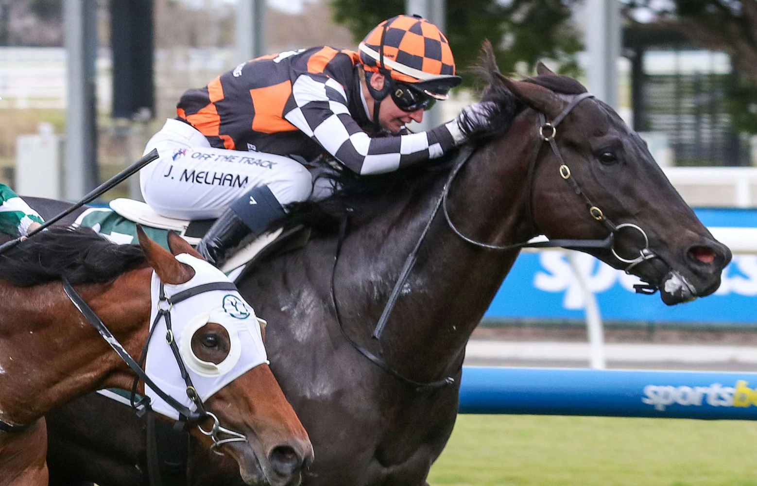 2025 Vain Stakes winner Jimmy Recard