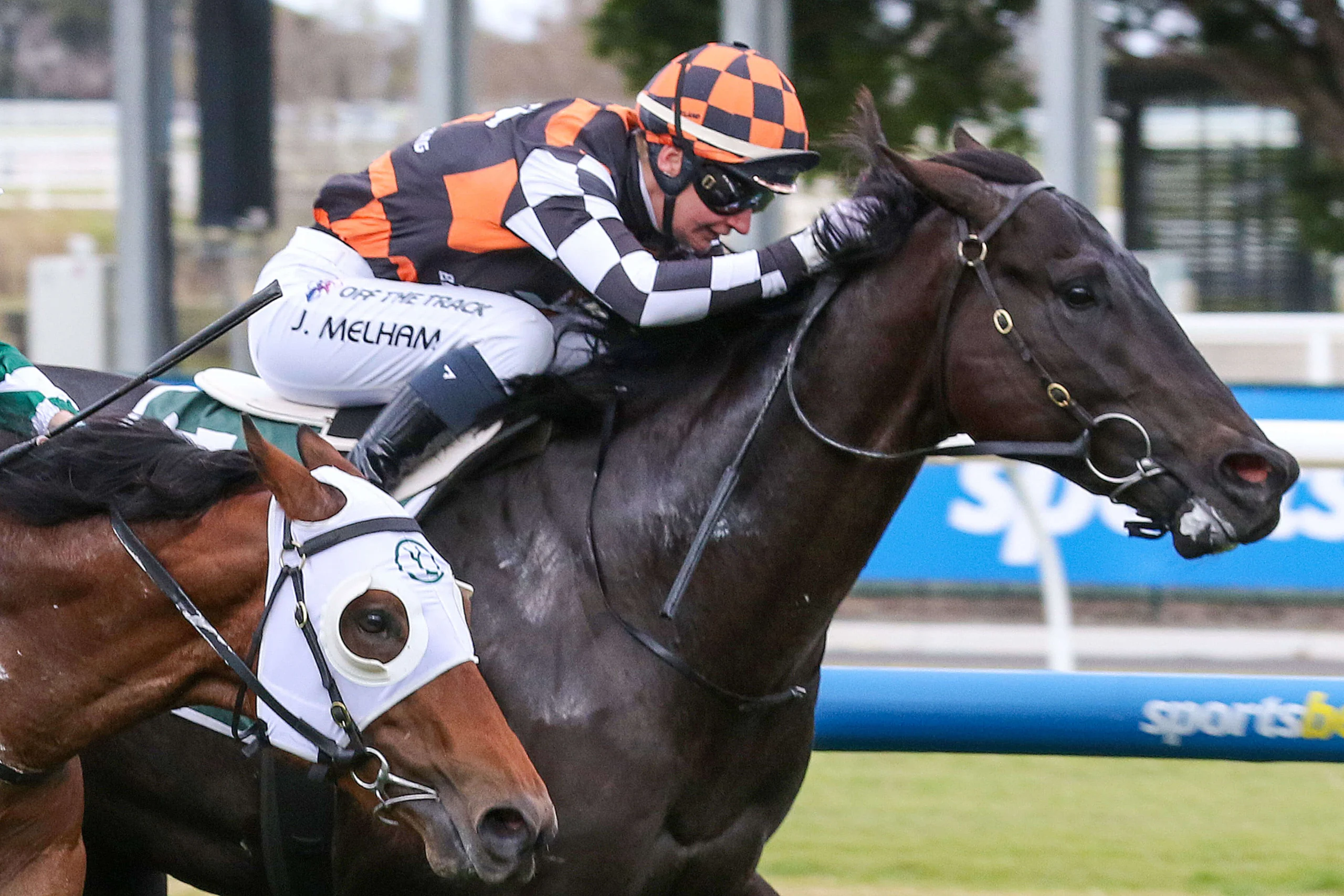 2025 Vain Stakes winner Jimmy Recard