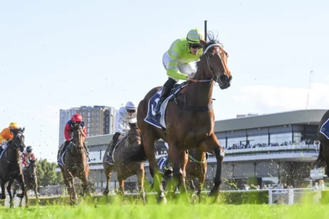 2025 Silver Shadow Stakes winner Savvy Hallie