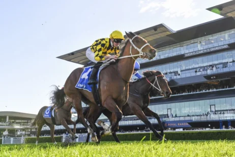 2025 Toy Show Quality winner Autumn Glow