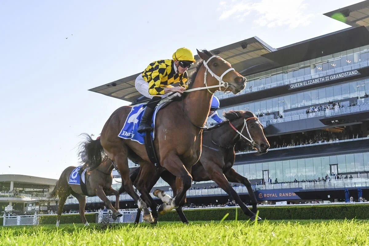 2025 Toy Show Quality winner Autumn Glow