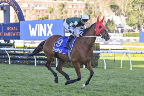 2025 Winx Stakes winner Via Sistina