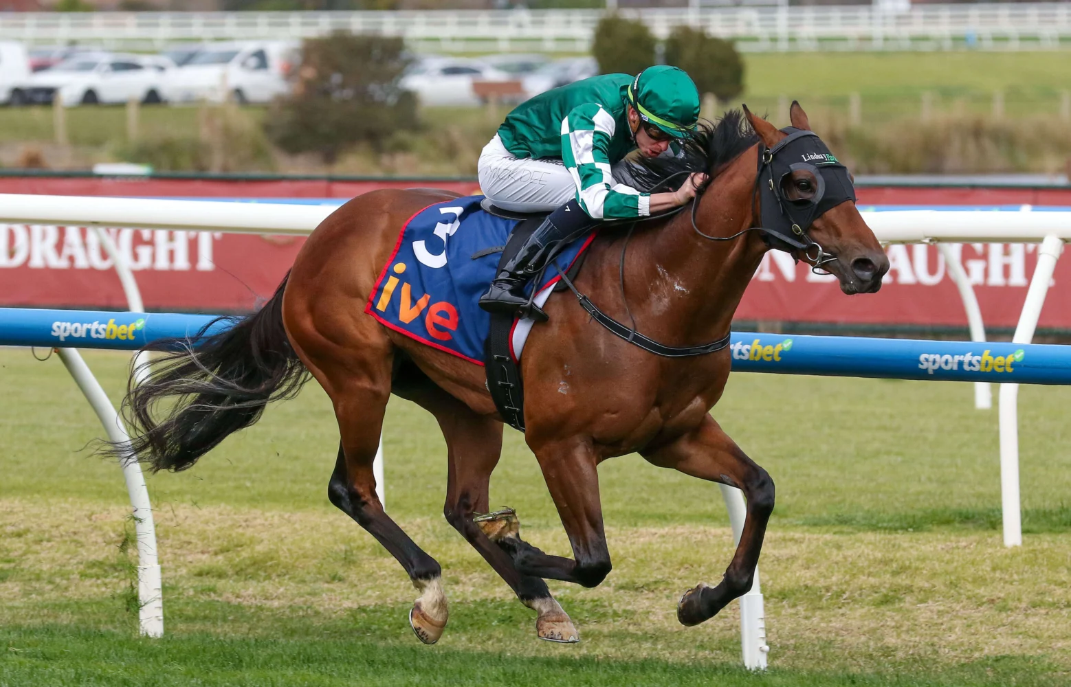 2025 McNeil Stakes winner Tycoon Star