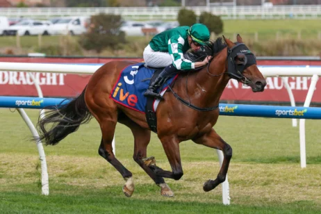 Tycoon Star Wins 2025 McNeil Stakes, Firms in Coolmore Stud Stakes Betting