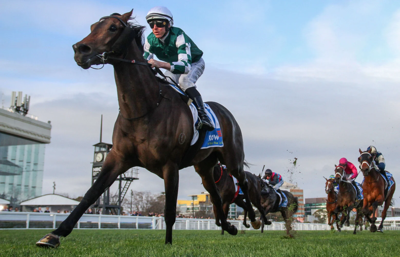 2025 Memsie Stakes winner Treasurethe Moment