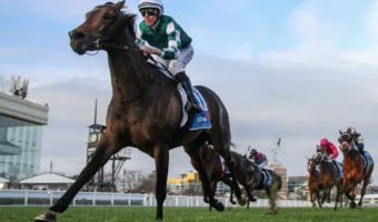 Treasurethe Moment Short First-Up Favourite in 2026 Futurity Stakes Field & Betting