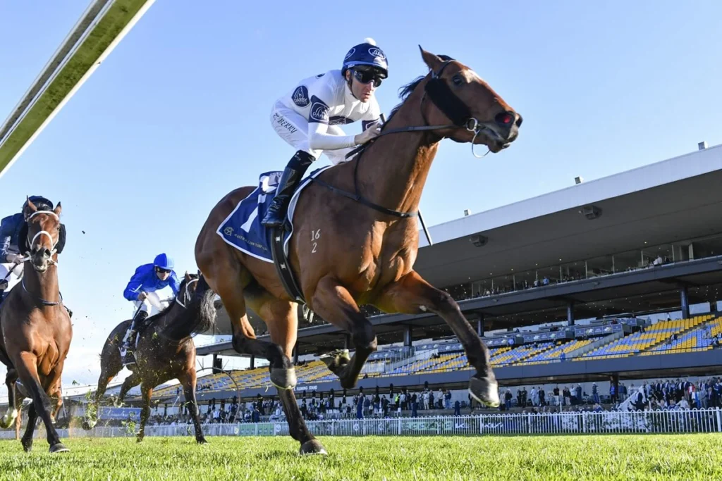 2025 San Domenico Stakes winner Raging Force