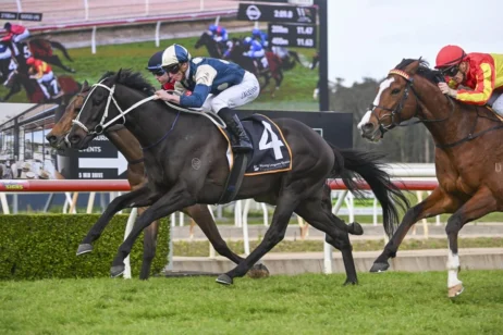 2025 Wyong Gold Cup winner Saltcoats