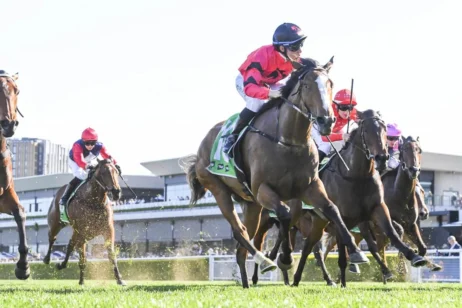 Apocalyptic Among Standout 2025 Flight Stakes Nominations