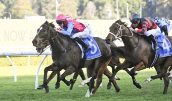 2026 The Shorts Field Preview, Tips & Best Bets: Headwall Favourite
