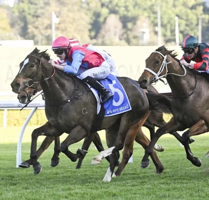2026 The Shorts Field Preview, Tips & Best Bets: Headwall Favourite