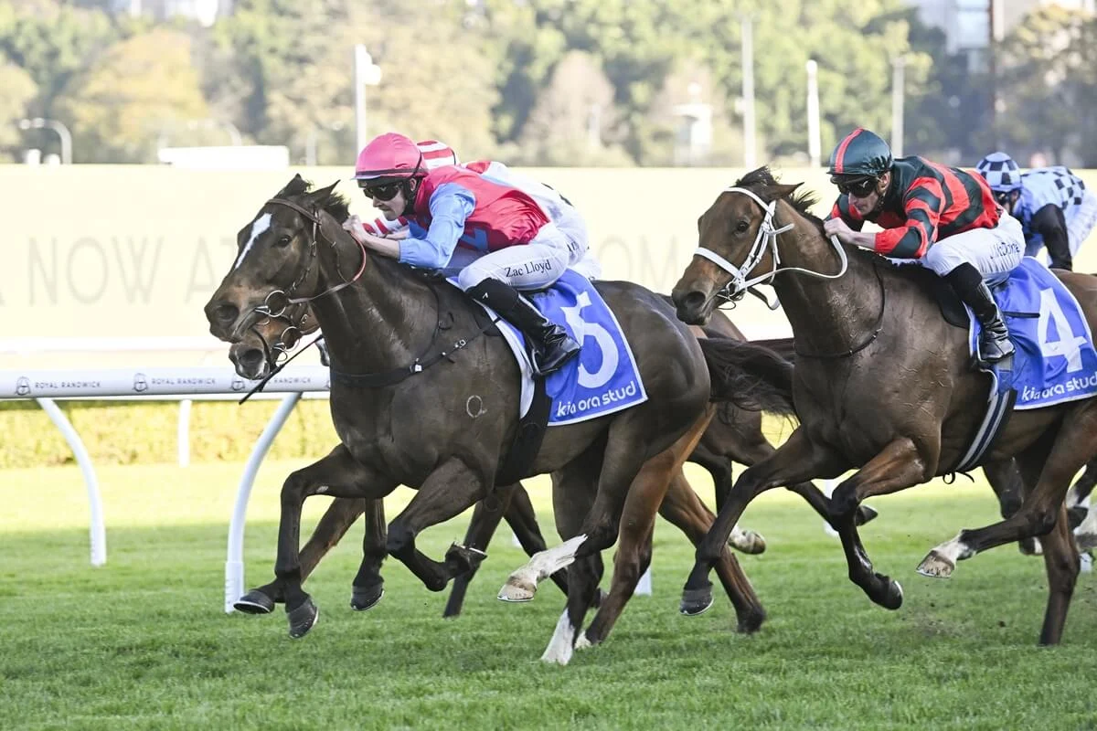 2025 Concorde Stakes winner Headwall