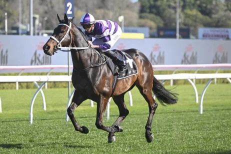 2025 Chelmsford Stakes winner Lindermann