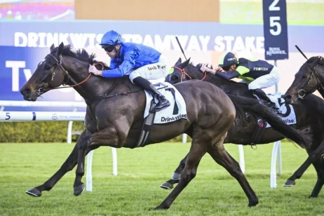 2025 Tramway Stakes winner Pericles