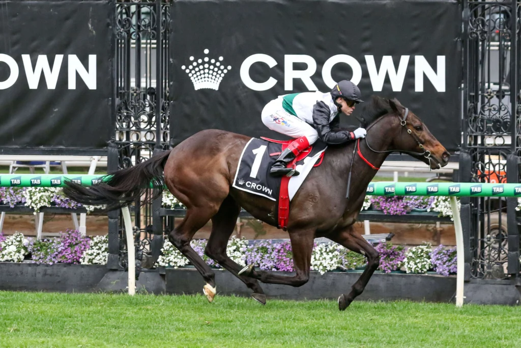 2025 Makybe Diva Stakes winner Mr Brightside