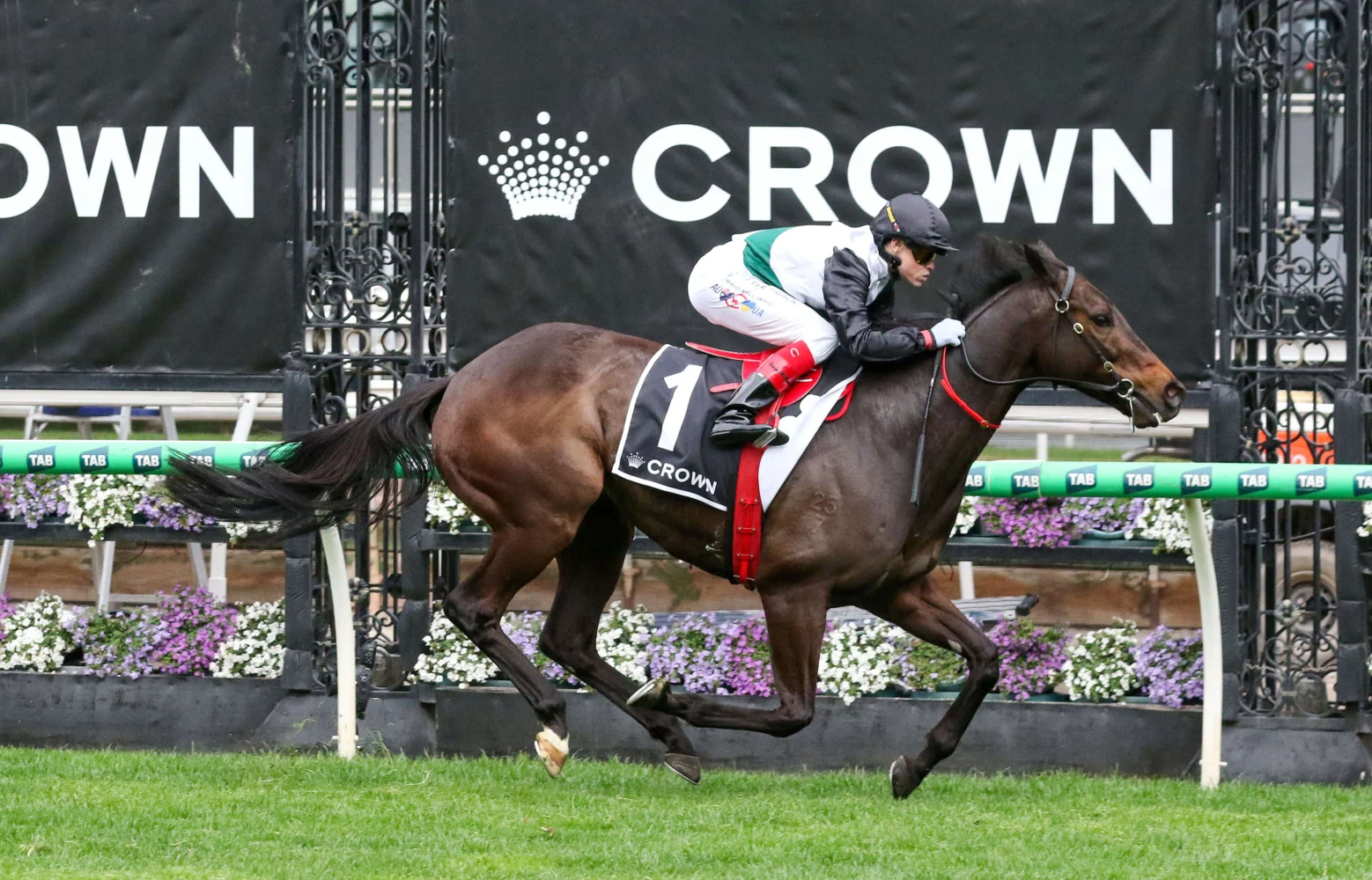 2025 Makybe Diva Stakes winner Mr Brightside