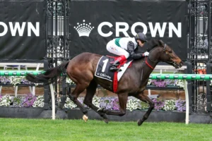 2025 Makybe Diva Stakes winner Mr Brightside