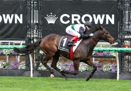 2025 Makybe Diva Stakes winner Mr Brightside
