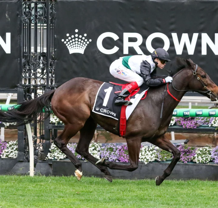 Makybe Diva Stakes 2026 Field Preview, Tips & Best Bets