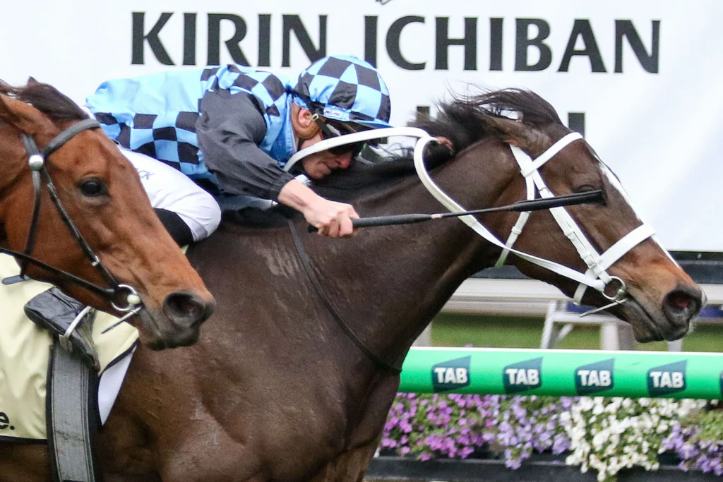 2025 Let's Elope Stakes winner Lazzura