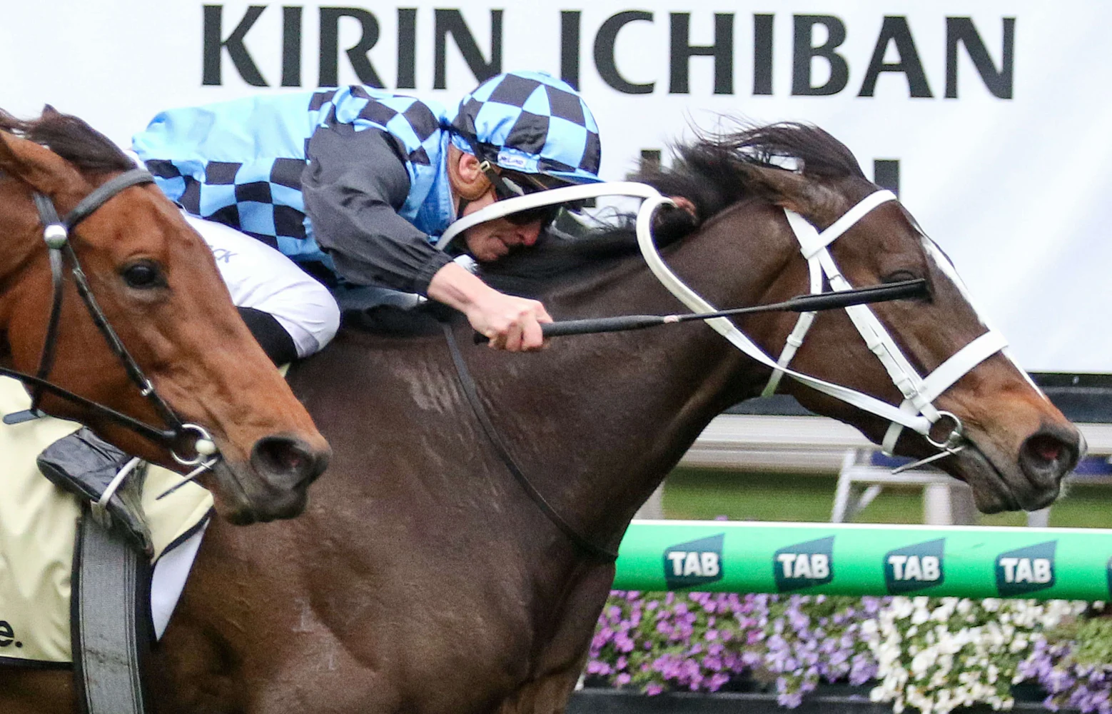 2025 Let's Elope Stakes winner Lazzura