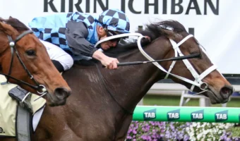 Lazzura Leads 2026 Coolmore Classic Field & Odds