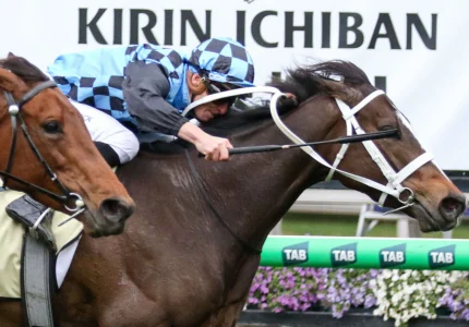 2025 Let's Elope Stakes winner Lazzura