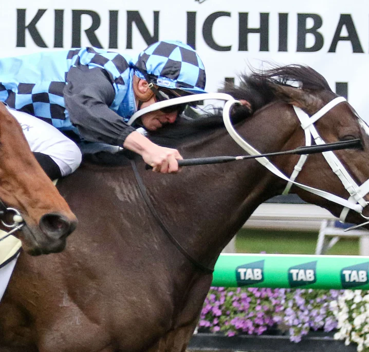 Lazzura Leads 2026 Coolmore Classic Field & Odds