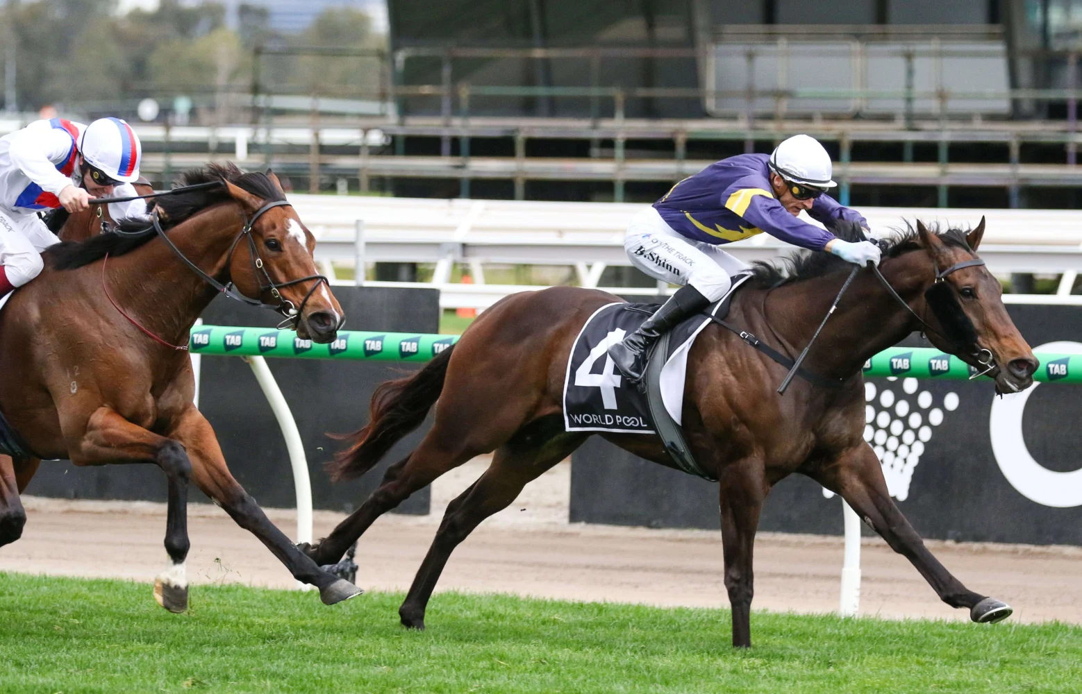 2025 Bobbie Lewis Quality winner Arkansaw Kid