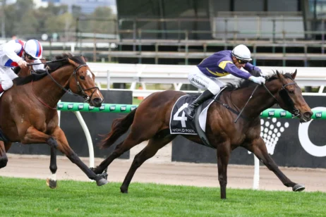 2025 Bobbie Lewis Winner Arkansaw Kid Considered for Sir Rupert Back-Up