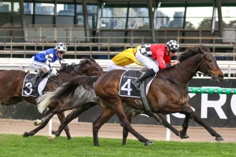 2025 Lexus Stakes winner Revelare