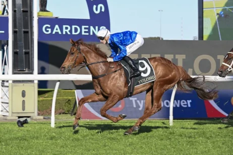 2025 Golden Rose Stakes Field & Betting: Punters Feeling Tempted