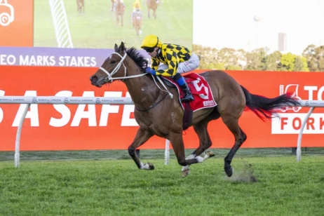 2025 Theo Marks Stakes winner Autumn Glow