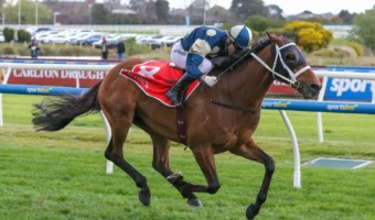 2026 Peter Young Stakes Field & Betting Update: Buckaroo Favourite in Australian Cup Lead-Up