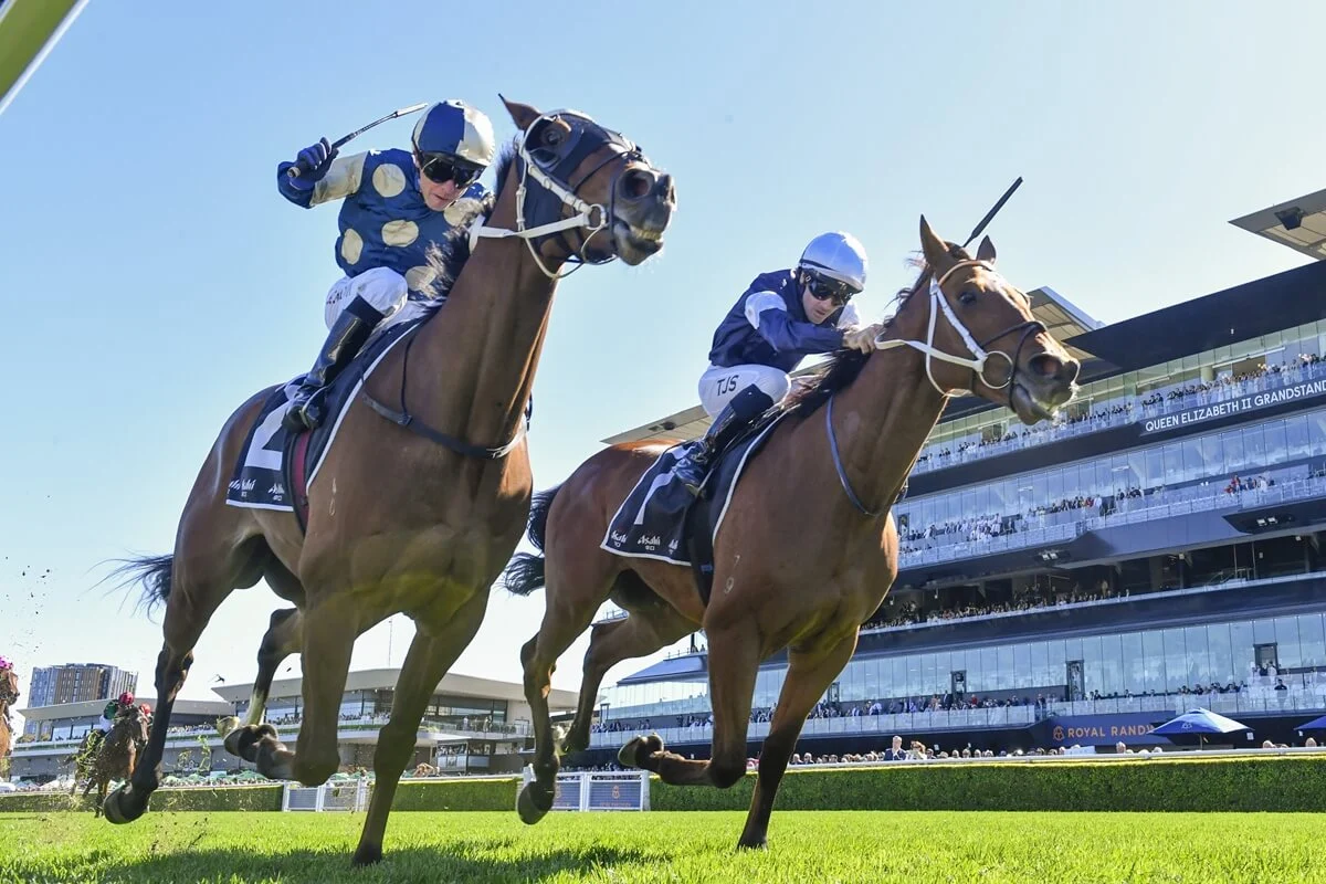 2025 Kingston Town Stakes winner Birdman