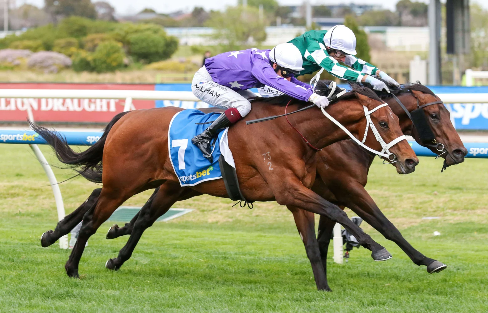 2025 Caulfield Guineas Prelude winner Estremo