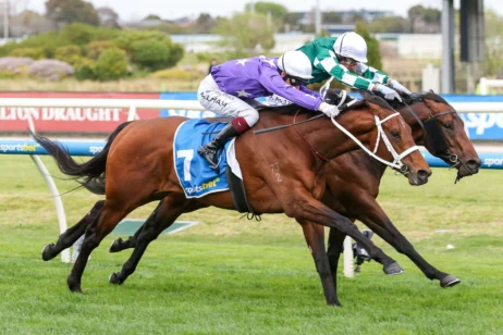 2025 Caulfield Guineas Prelude winner Estremo